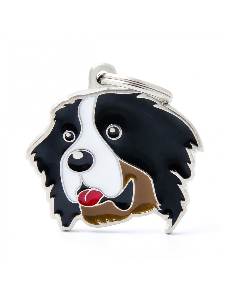 Bernese Mountain 