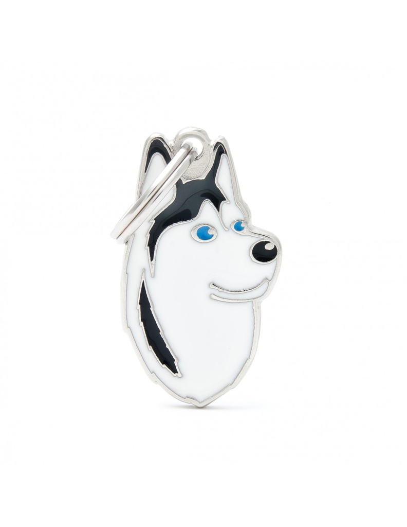 Black and White Siberian Husky 