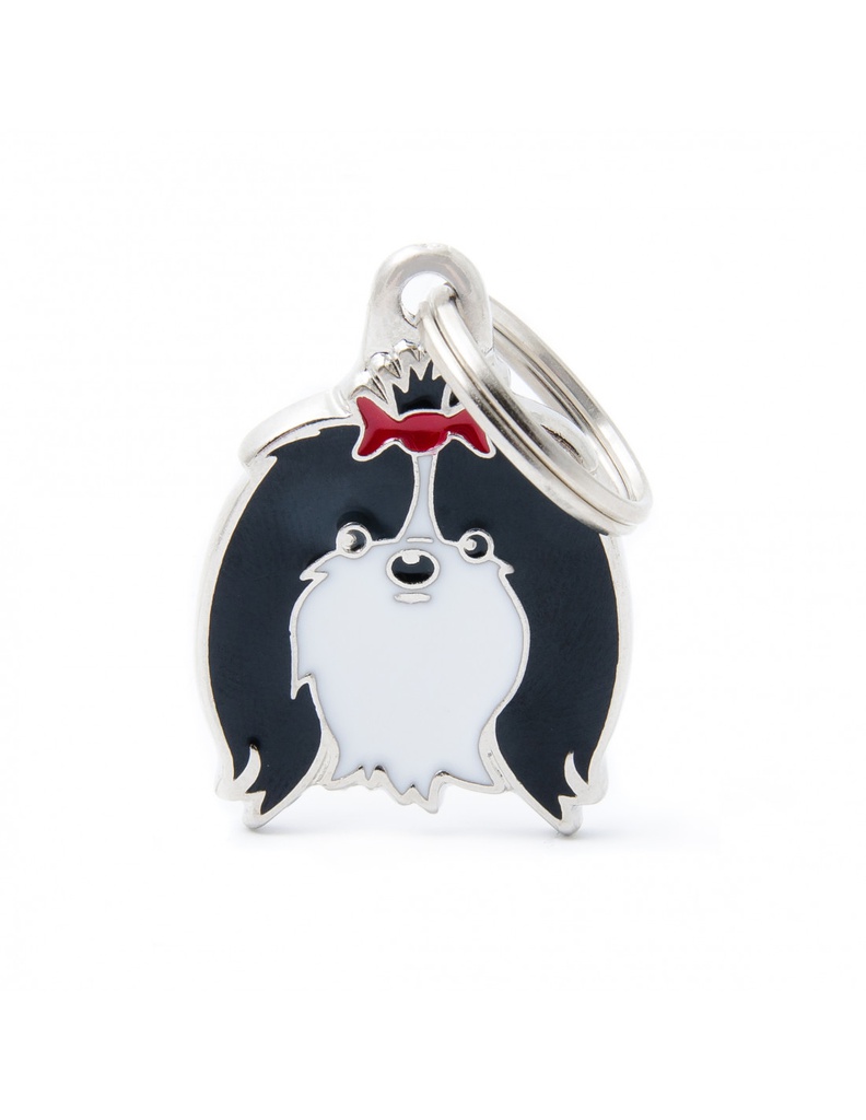 Black and White Shih Tzu