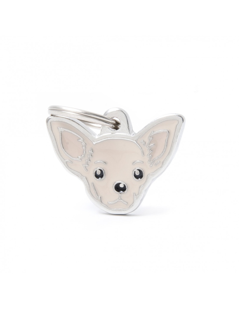 Cream Chihuahua 
