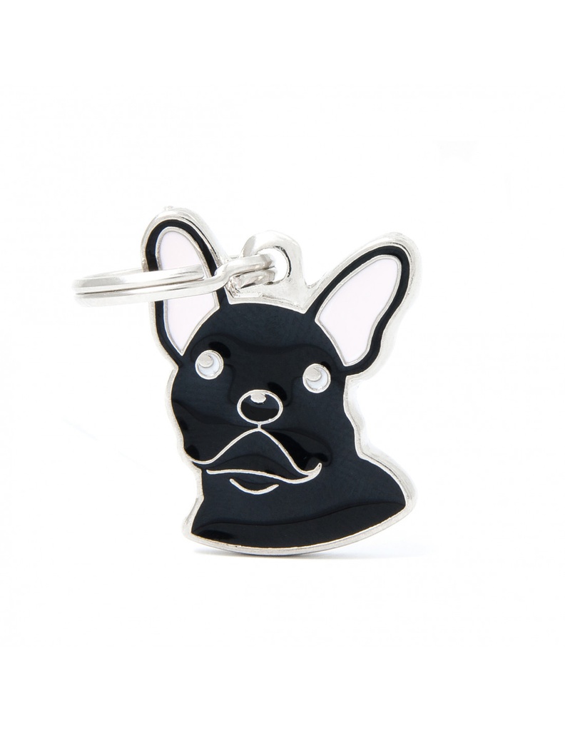 Black French Bulldog 