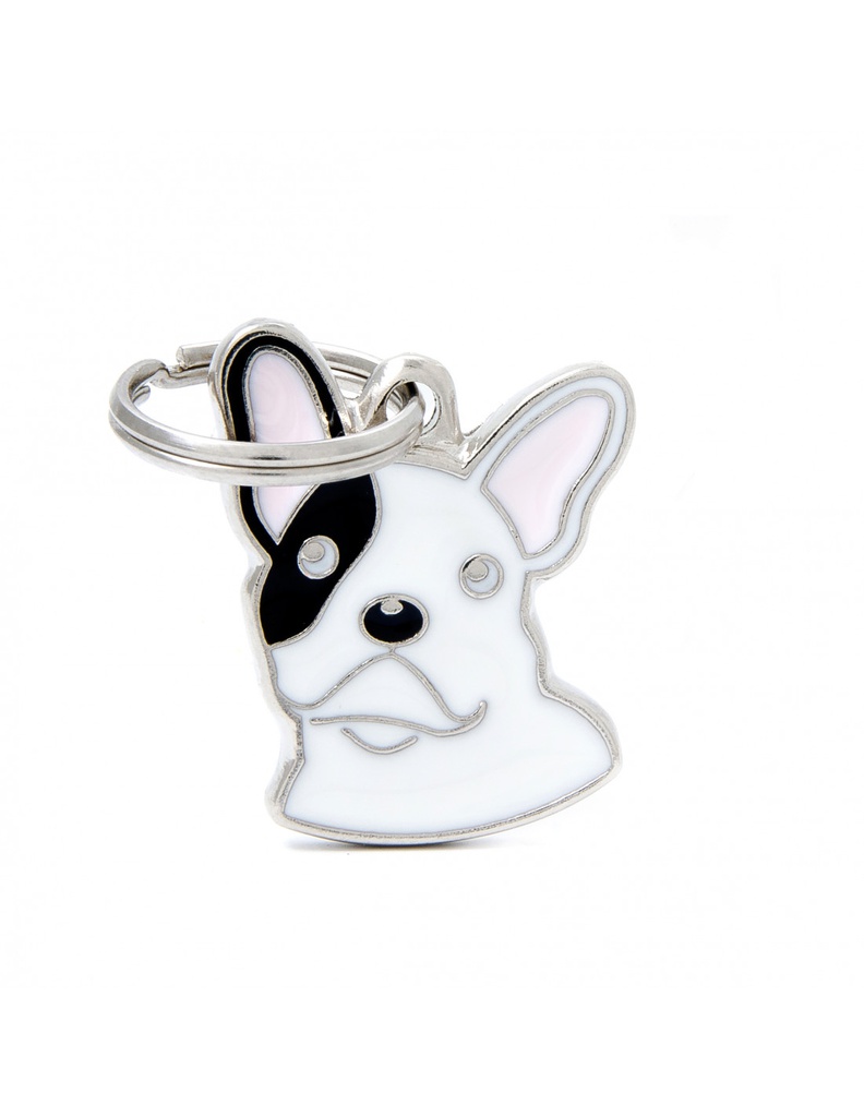 White French Bulldog 