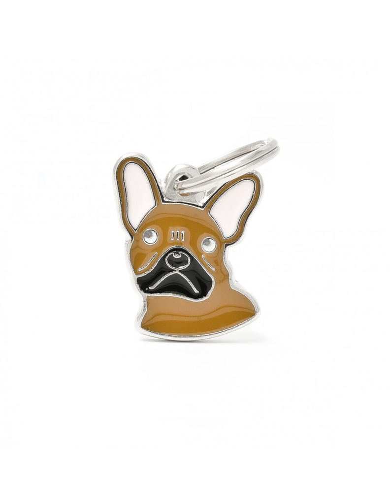 Fawn French Bulldog 