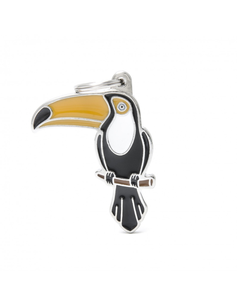 Toco Toucan