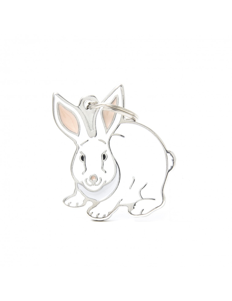 Rabbit