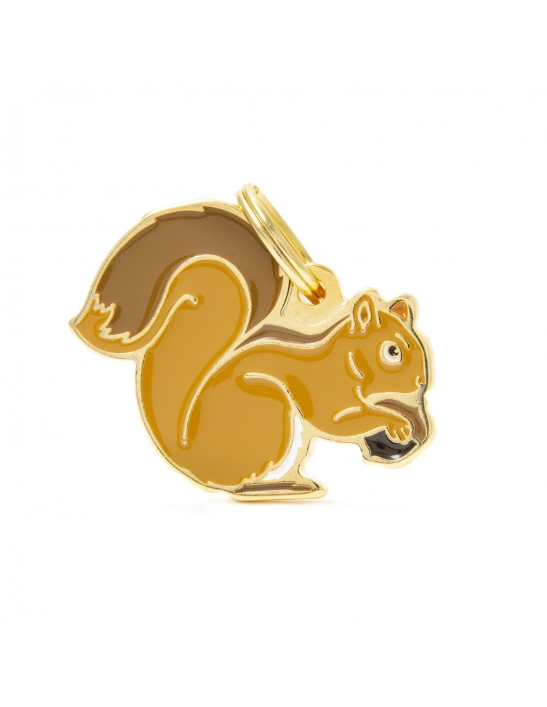 Squirrel