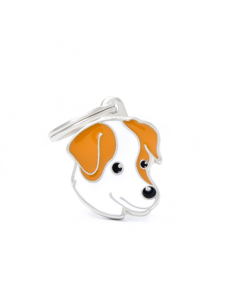 White and Brown Jack Russell