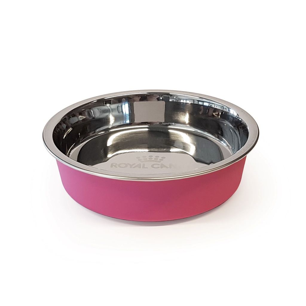Kitten Bowl 6oz