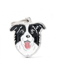 [08000254] Border Collie