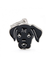 [08000312] Black Labrador