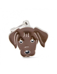 [08000314] Chocolate Labrador