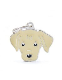 [08000316] Yellow Labrador