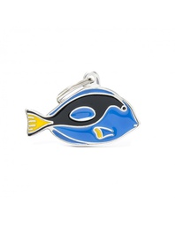 [08000116] Surgeonfish
