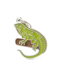 [08000126] Iguana