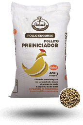 [10001000] Pollito Preiniciador Quebrantado / Broken Pre-Starter Chick