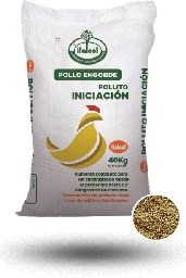 [10001010] Super Pollito Iniciacion Quebrantado / Super Chick Initiation Broken