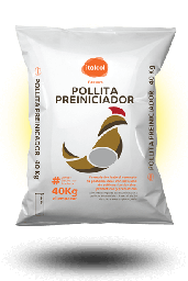 [10002000] Pollita Preiniciador / Pre-starter chick