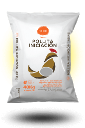 [10002005] Pollita Iniciacion Cromb. / Chick Initiation Cromb.