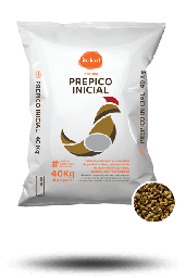 [10002020] Prepico Inicial / Initial Prepico