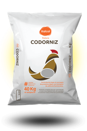 [10002060] Codorniz Quebrantado / Broken Quail