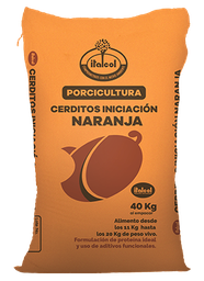 [10003005] Little Orange Initiation Piggy 40KG.