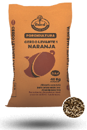 [10003010] Orange Pigs Raised 40KG.