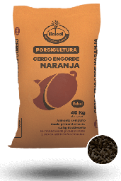 [10003020] Orange Fattening Pig 40KG.