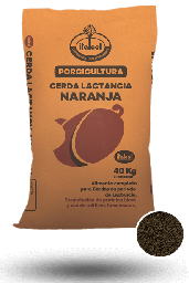 [10003040] Orange Lactating Sow 40KG.