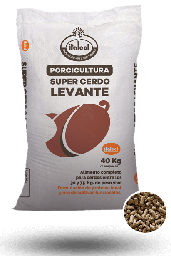 [10003045] Super Pig Raised 40KG.