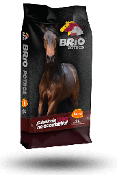 [10005000] Brio Foals 40KG.