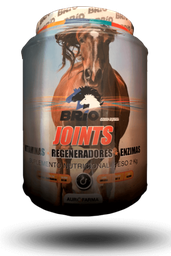 [10005050] Brio Joints Bottle 2KG.