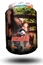 [10005055] Brio Increase Bottle 2KG.