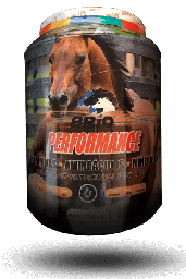 [10005060] Brio Performance Bottle 2KG.