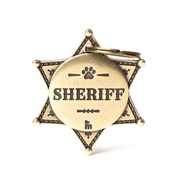 [08001024] Sheriff Star Bronx English Brass