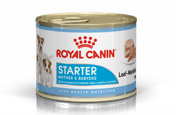 [020160000] SHN Starter Mousse Wet Can 195Gs