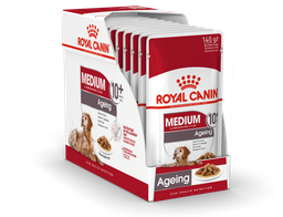 [020160006] SHN Medium Ageing Wet 10x140Gs