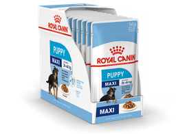[020160007] SHN Maxi Puppy Wet 10x140Gs
