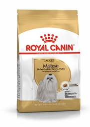 [020211015] BHN Maltese Adult 1,5KG