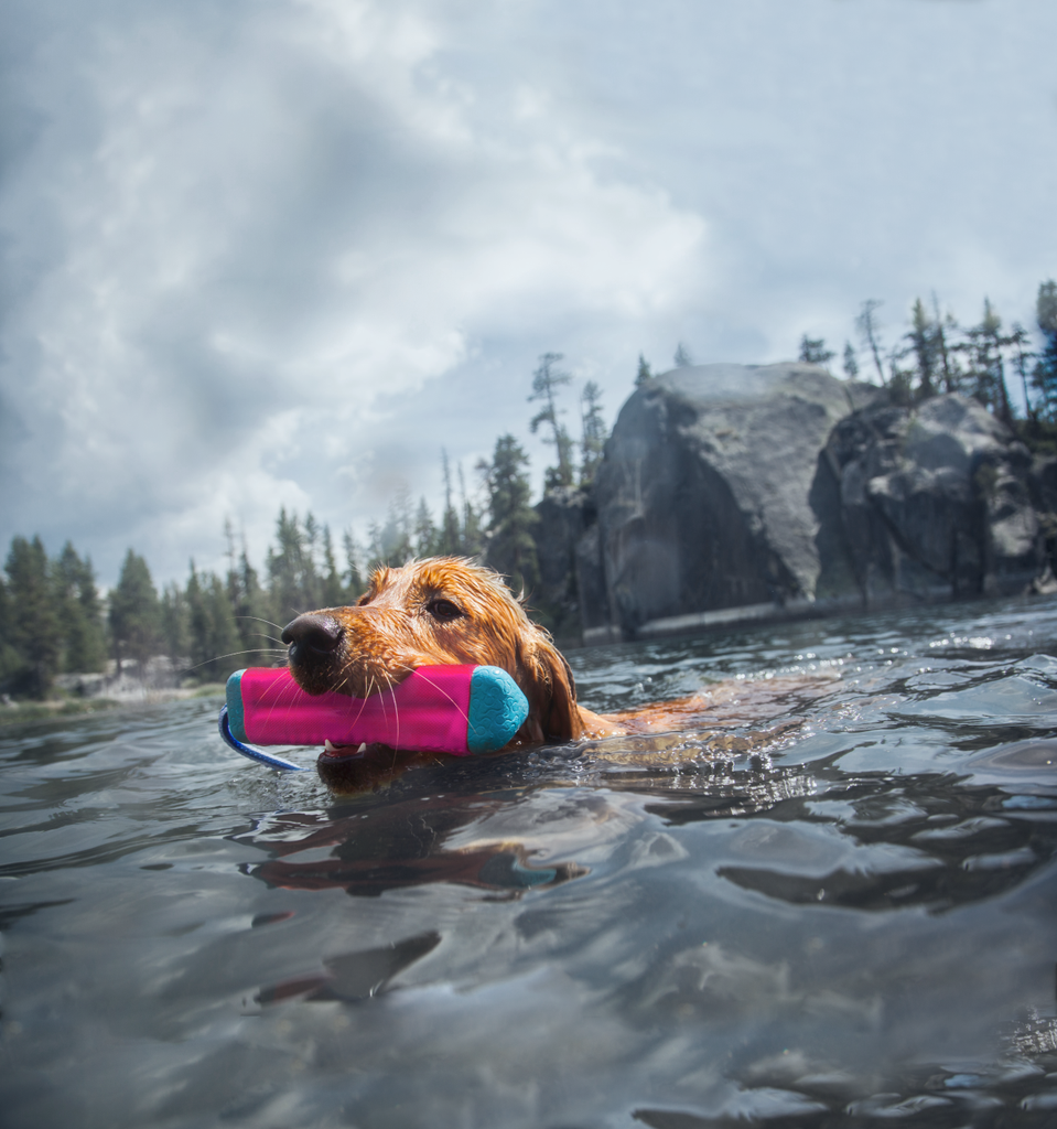Adult Swimming