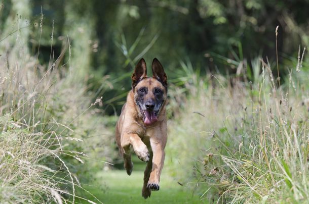 Outdoor Running