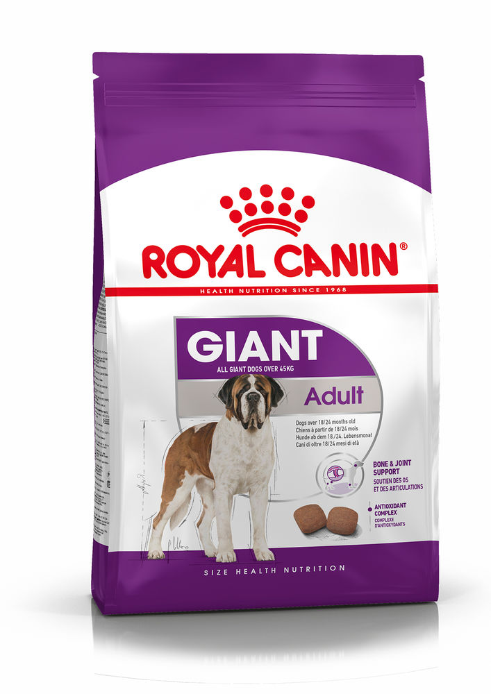 SHN Giant Adult