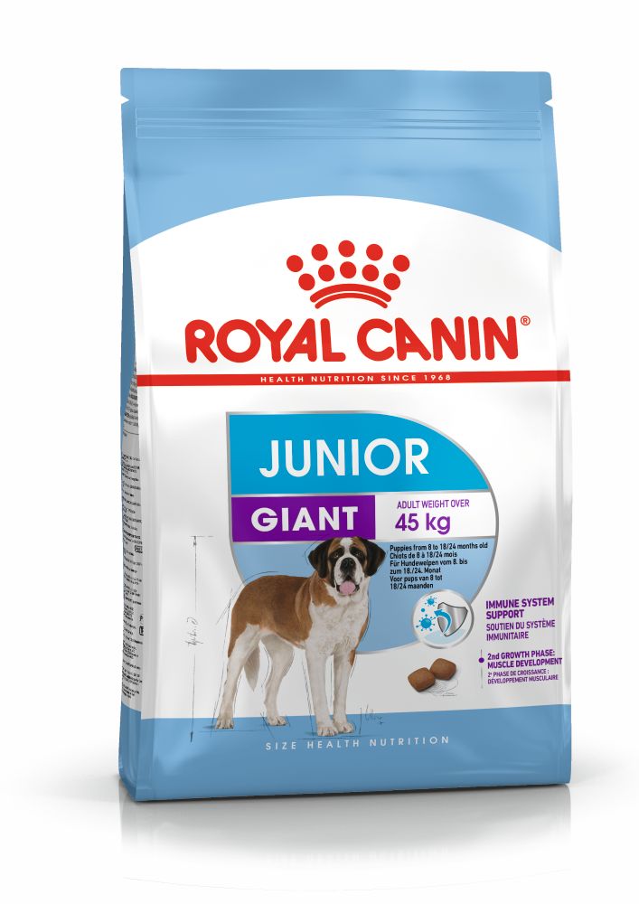 SHN Giant Junior