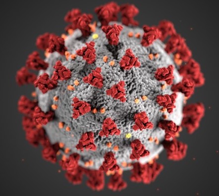 Guide Pet Health Care Covid 19