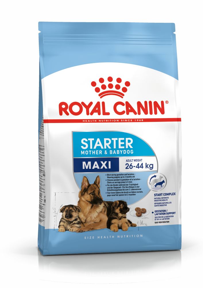 SHN Maxi Starter