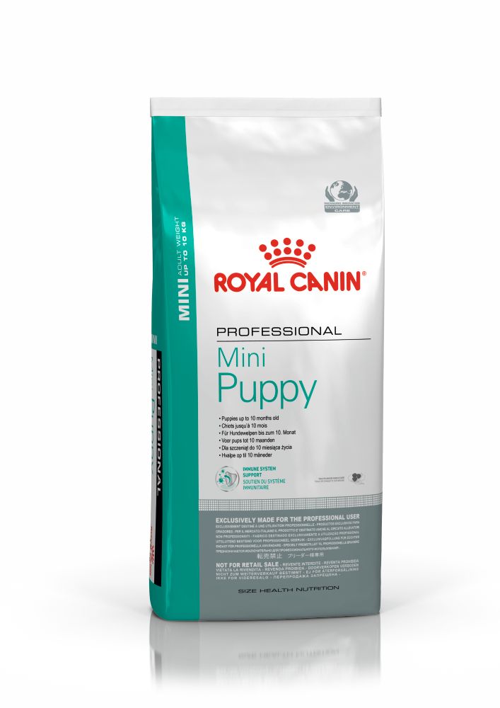 SHN Pro Mini Puppy