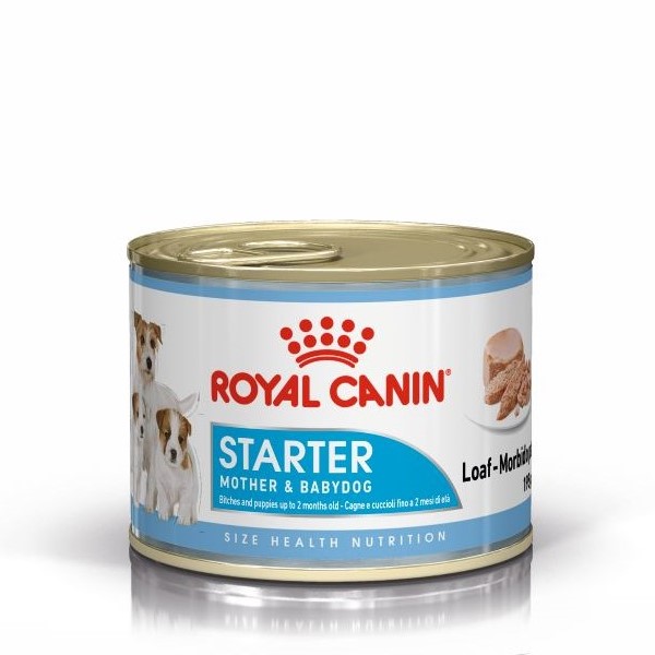 SHN Starter Mousse