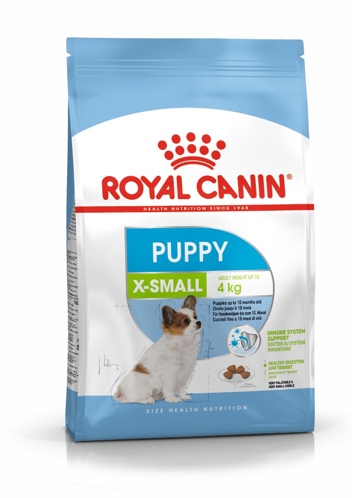 SHN X Small Puppy