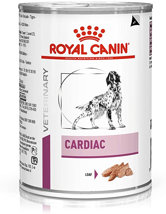 VHN Cardiac Wet Dog