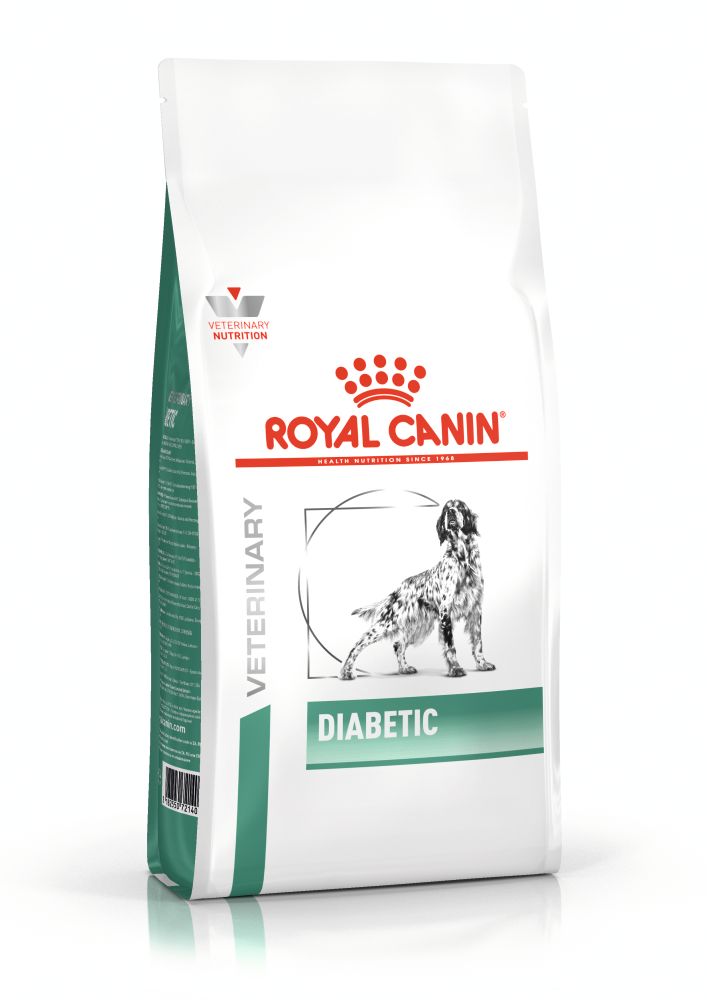 VHN Diabetic Dog