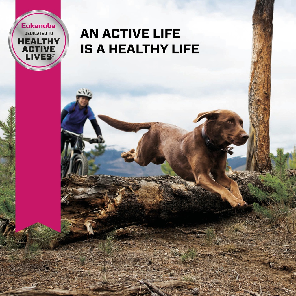 Active Life 2